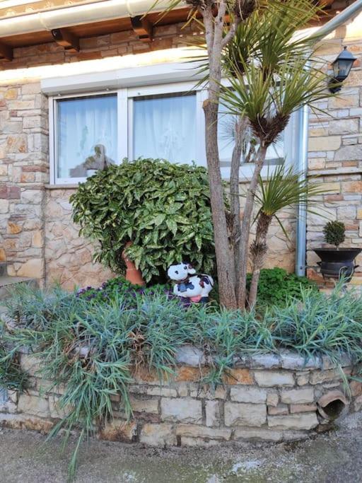 Apartment Istra Near Beach Rovinj Ngoại thất bức ảnh